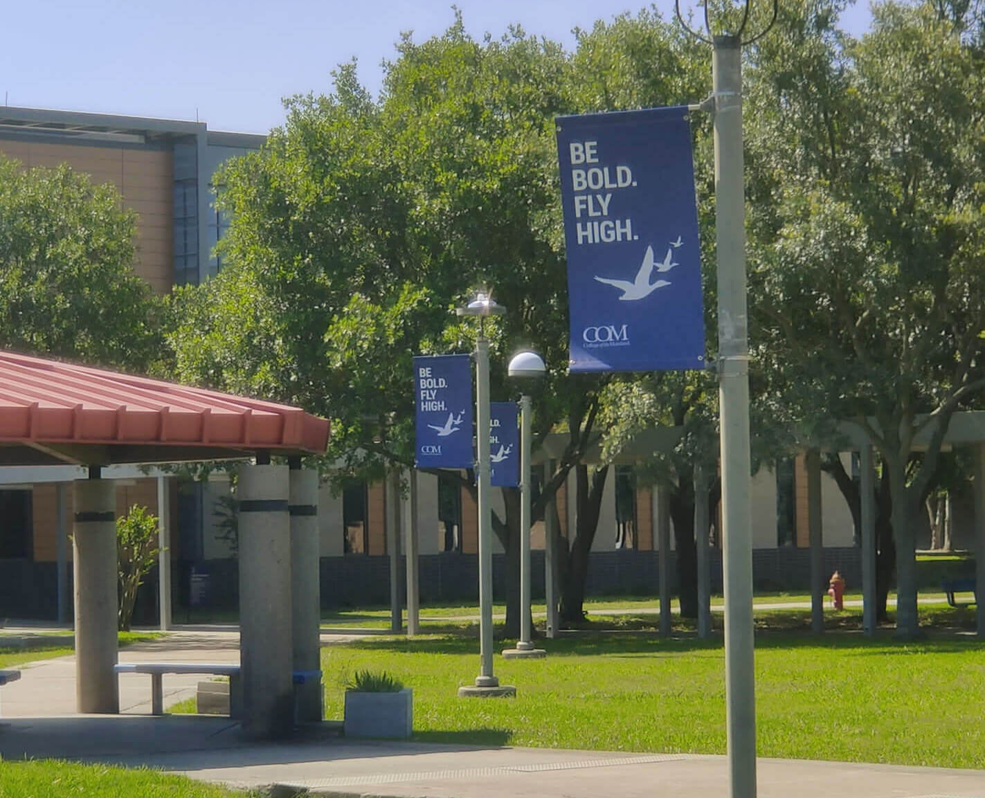 Be Bold Fly High Brand Campaign. Copyright College of the Mainland