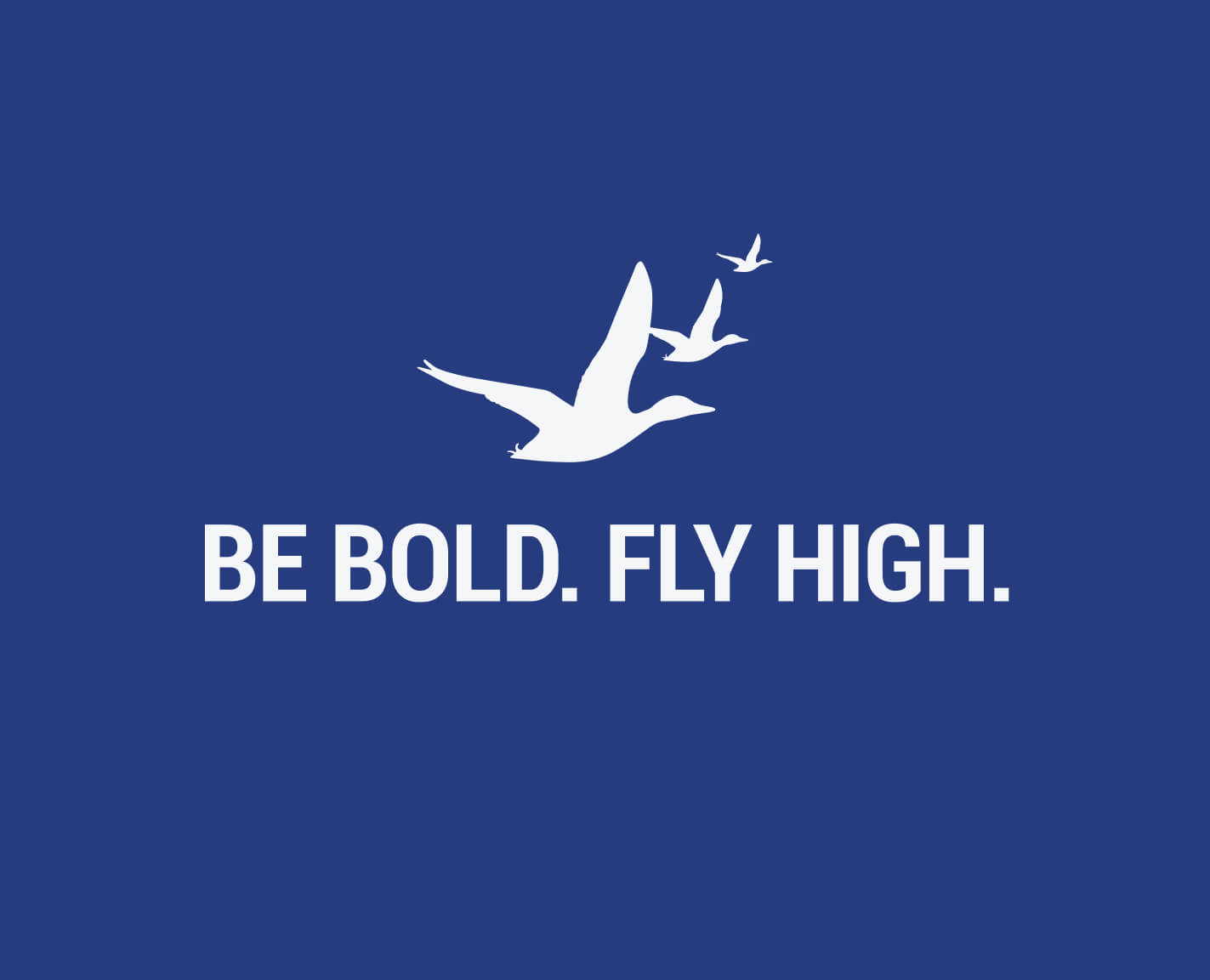 One of many Be Bold. Fly High. logo lockups. Copyright College of the Mainland.